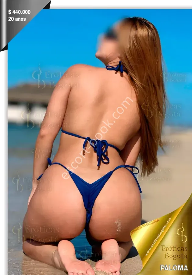 Paloma, Caucasico